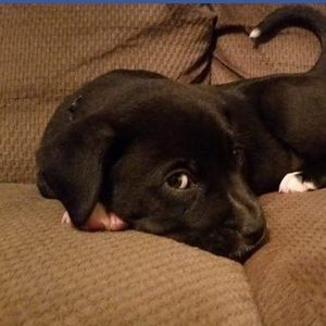 Meet your Posher, Hailey